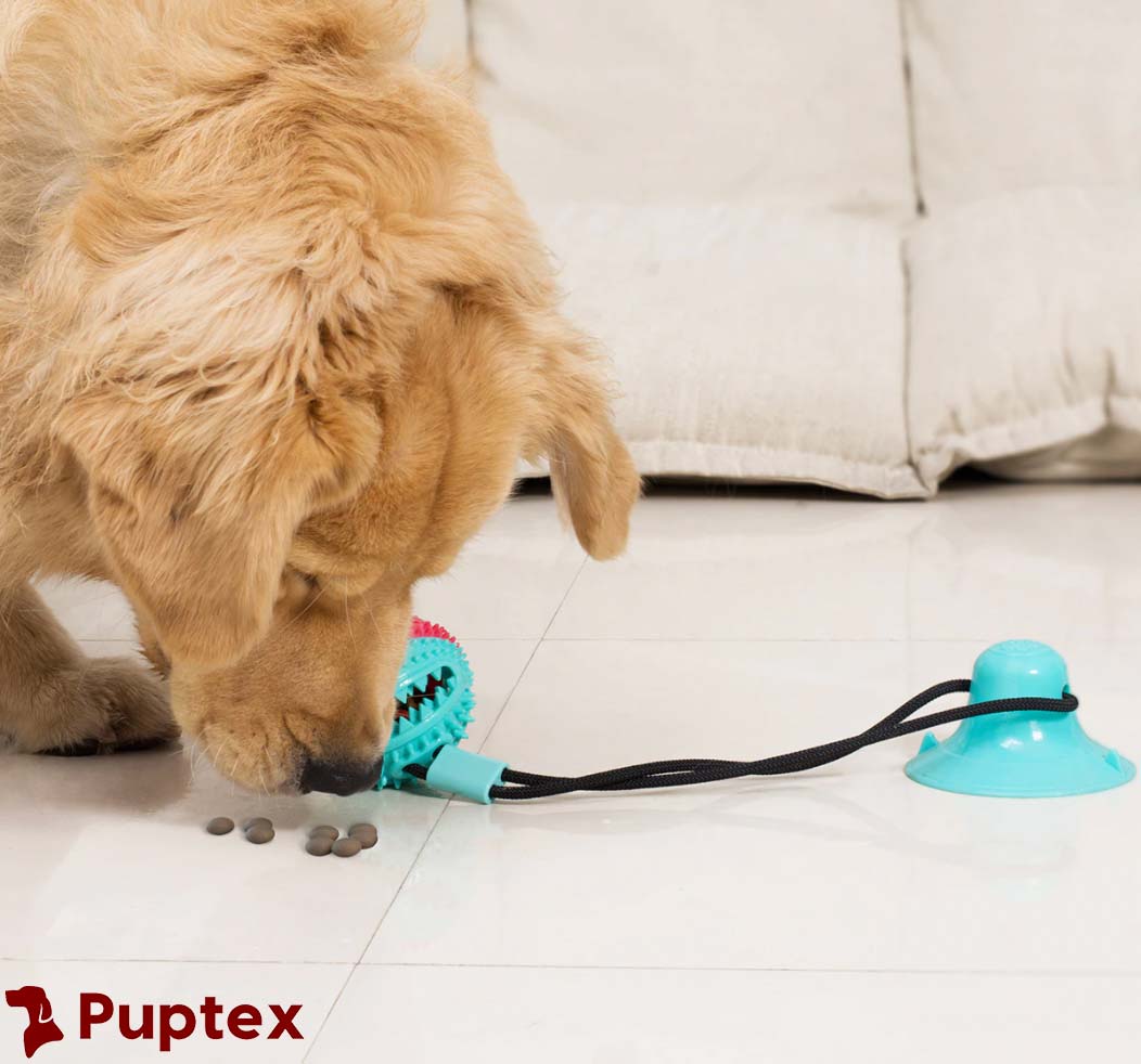 Doggy Tug™ - Interactive Dog Toy